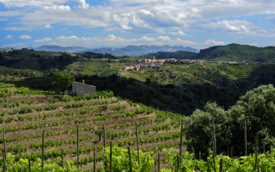 Viatge pel Priorat profund