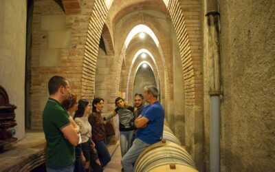 COOPERATIVISME I MODERNISME A LA DO MONTSANT