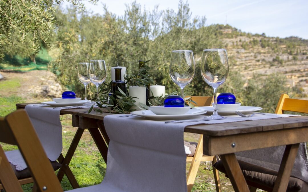 Un mar de olivos en el corazón del Priorat